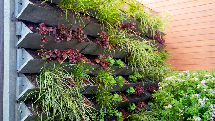 Como incrementar na decoração do seu jardim