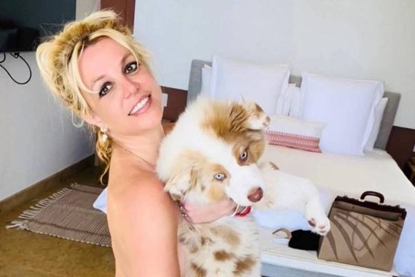Britney Spears em foto nua com seu Instagram/britneyspearsachorro Sawyer