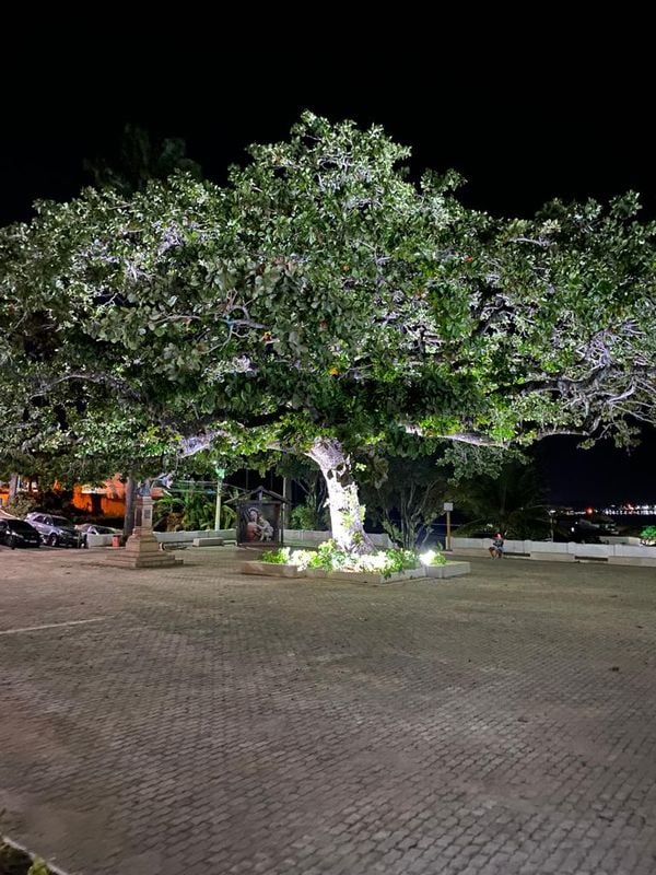 Santuário Nacional de São José de Anchieta   por Laila Magesk