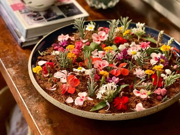 Sobremesa Jardim da Moreninha em tamanho família feita pela chef Kamila Zamprogno