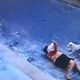Imagem - Vídeo: idosa é atacada por cães enquanto andava na rua em Cariacica