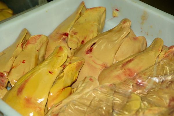 Foie grass / figado de pato