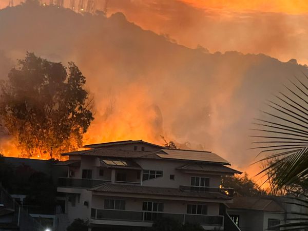 Incêndio atinge área de mata no bairro Fradinhos, em Vitória por Leitor A Gazeta