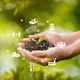 Imagem - Prêmio Biguá destaca importância de plantar boas ideias nesta década