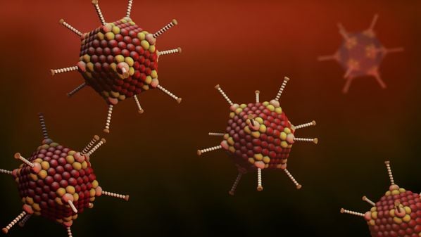 As pesquisas não esclarecem se o vírus encontrado nas crianças era indicador de uma infecção anterior de adenovírus ou uma causa própria