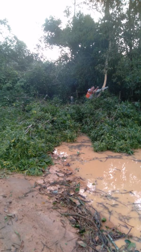 Defesa Civil realiza serviço de retirada de árvores de estradas e vias, nesta terça-feira (17), em Anchieta por Defesa Civil de Anchieta