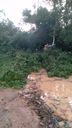 Defesa Civil retira árvores caídas de ruas após chuva forte em Anchieta(Defesa Civil de Anchieta)