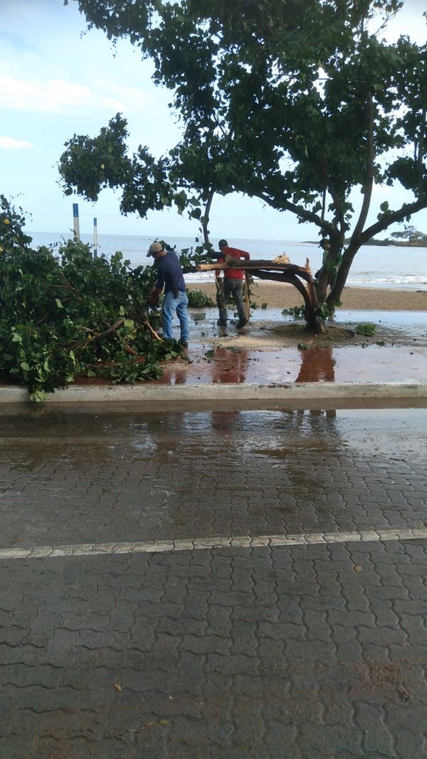Defesa Civil realiza serviço de retirada de árvores de estradas e vias, nesta terça-feira (17), em Anchieta por Defesa Civil de Anchieta