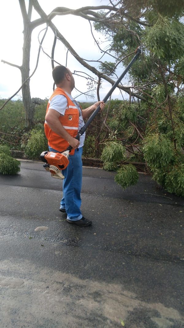 Defesa Civil realiza serviço de retirada de árvores de estradas e vias, nesta terça-feira (17), em Anchieta por Defesa Civil de Anchieta