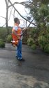 Defesa Civil retira árvores caídas de ruas após chuva forte em Anchieta(Defesa Civil de Anchieta)