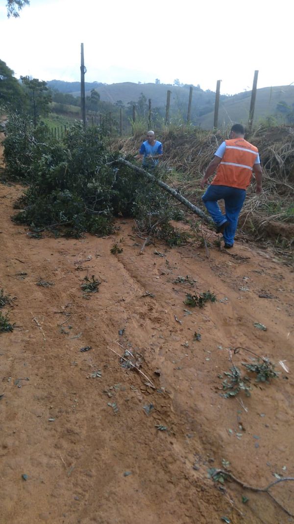 Defesa Civil realiza serviço de retirada de árvores de estradas e vias, nesta terça-feira (17), em Anchieta por Defesa Civil de Anchieta