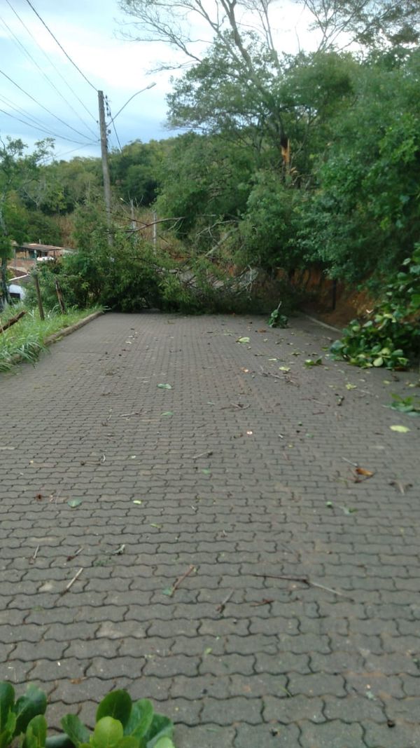 Defesa Civil realiza serviço de retirada de árvores de estradas e vias, nesta terça-feira (17), em Anchieta por Defesa Civil de Anchieta