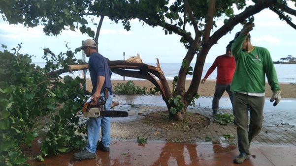 Defesa Civil realiza serviço de retirada de árvores de estradas e vias, nesta terça-feira (17), em Anchieta por Defesa Civil de Anchieta