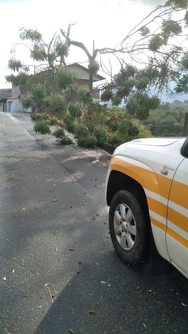 Defesa Civil realiza serviço de retirada de árvores de estradas e vias, nesta terça-feira (17), em Anchieta por Defesa Civil de Anchieta