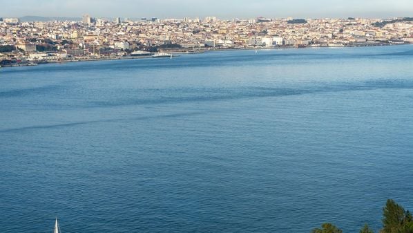 Pelas contas da Câmara de Comércio e Indústria Luso-Brasileira, o investimento direto de empresas brasileiras em Portugal deve crescer 50% nos próximos três anos
