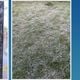 Imagem - ES bate recorde de frio: veja lista de temperaturas por cidade