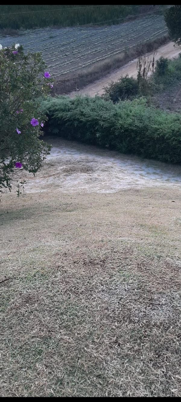 Em Venda Nova do Imigrante, os termômetros na casa de moradores de Caxixe, Alto Caxixe e Bananeiras chegaram a 0°C por Divulgação/ Defesa Civil de Venda Nova do Imigrante 