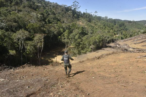 Operação da polícia para combater o desmatamento na região de Santa Teresa por Ricardo Medeiros
