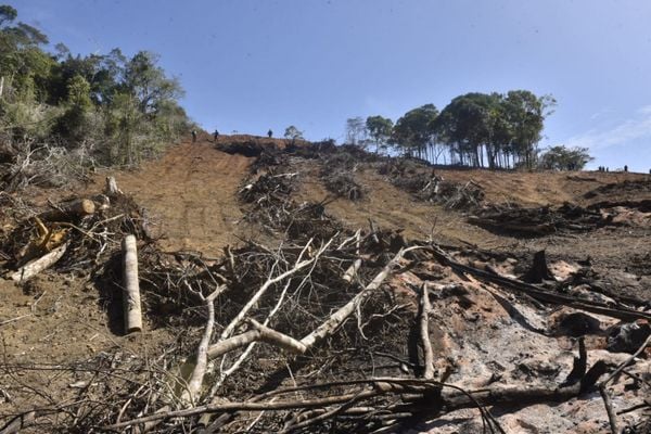 Operação da polícia para combater o desmatamento na região de Santa Teresa por Ricardo Medeiros