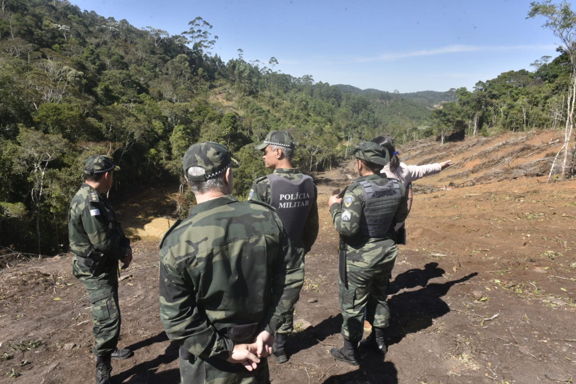 Operação da polícia para combater o desmatamento na região de Santa Teresa