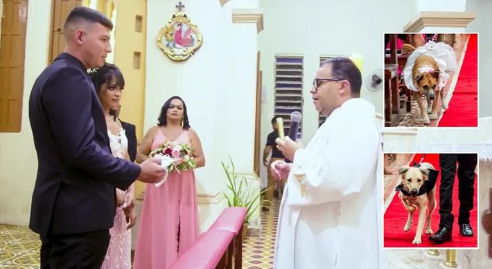Casamento foi realizado sábado (14), em Nova Olinda, Ceará. Atitude do sacerdote causou surpresa em presentes na igreja