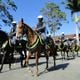 Imagem - Dupla rouba bicicleta e é perseguida a cavalo na Praia da Costa