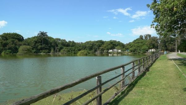 Lagoa da Ufes, na unidade de Goiabeiras, em Vitória
