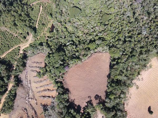 Polícia Militar Ambiental realiza Operação Curupira II em Santa Teresa com apoio do Idaf por BPMA / Idaf