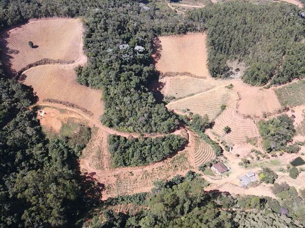Polícia Militar Ambiental realiza Operação Curupira II em Santa Teresa com apoio do Idaf por BPMA / Idaf