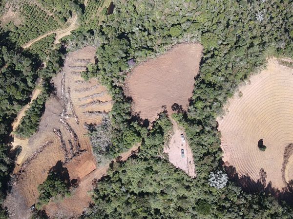 Polícia Militar Ambiental realiza Operação Curupira II em Santa Teresa com apoio do Idaf por BPMA / Idaf