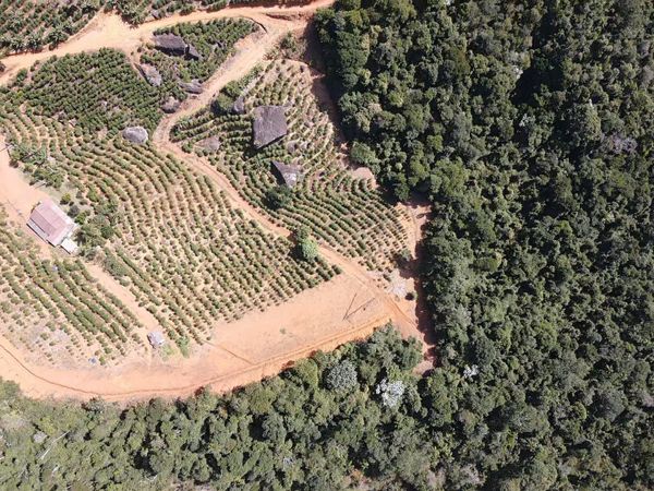 Polícia Militar Ambiental realiza Operação Curupira II em Santa Teresa com apoio do Idaf por BPMA / Idaf