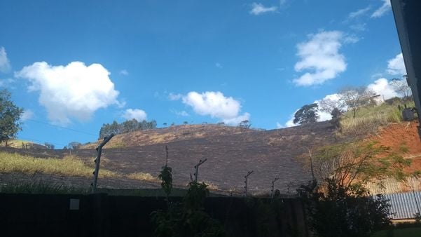 Área de vegetação queimada no bairro Jardim América após o incêndio. Registro realizado na manhã deste domingo (22) por Pollyanna Patrício