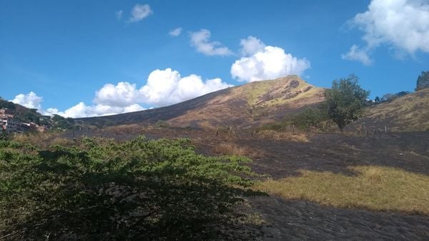 Área de vegetação queimada no bairro Jardim América após o incêndio. Registro realizado na manhã deste domingo (22) por Pollyanna Patrício