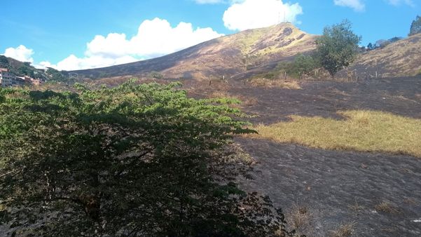 Área de vegetação queimada no bairro Jardim América após o incêndio. Registro realizado na manhã deste domingo (22) por Pollyanna Patrício