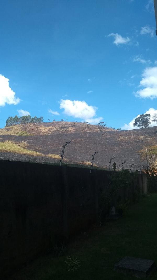 Área de vegetação queimada no bairro Jardim América após o incêndio. Registro realizado na manhã deste domingo (22) por Pollyanna Patrício