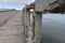 Ponte Ilha do Frade com ferragens expostas, em Vitória(Ricardo Medeiros)