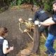 Imagem - Ossada humana é achada em gruta perto do Mestre Álvaro, na Serra