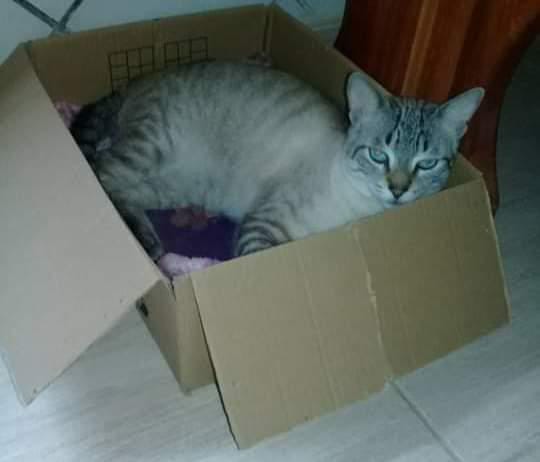 undefined por Aipa | Divulgação