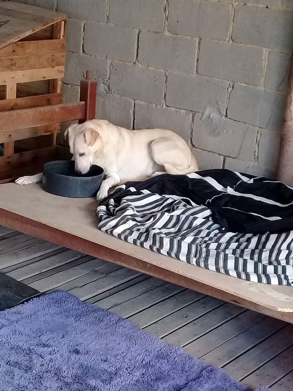 undefined por Aipa | Divulgação