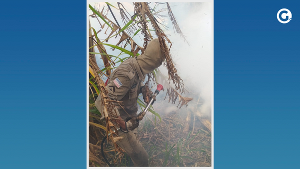 Sequência de incêndios mobiliza o Corpo de Bombeiros em Cachoeiro