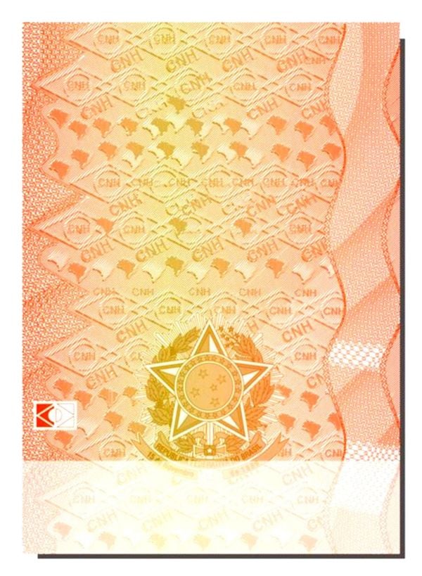 Verso da nova CNH