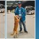 Imagem - Após meses longe do dono, cachorro ganha passagem e volta para o ES