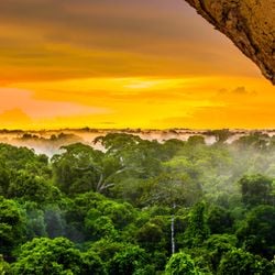 Conferência Sustentabilidade Brasil 2025 vai acontecer de 11 a 14 de junho, e submissão de artigos está aberta até a próxima quarta-feira (7)