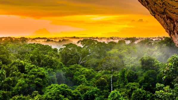Conferência Sustentabilidade Brasil 2025 vai acontecer de 11 a 14 de junho, e submissão de artigos está aberta até a próxima quarta-feira (7)
