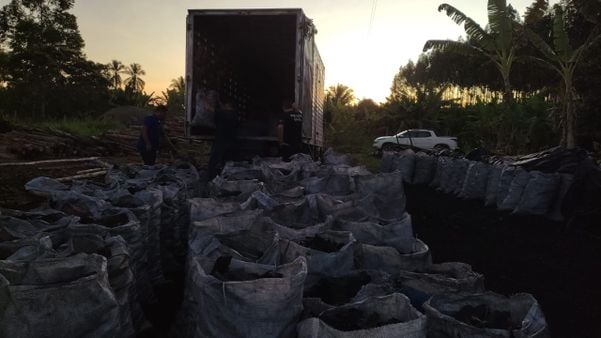 Polícia apreende mais de 11 toneladas de carvão ilegal em Conceição da Barra