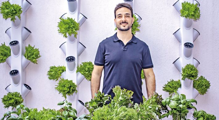 Já comuns na Europa e nos EUA, “fazendas urbanas” têm atraído empreendedores, que apostam nessa forma de produção, geralmente orgânica