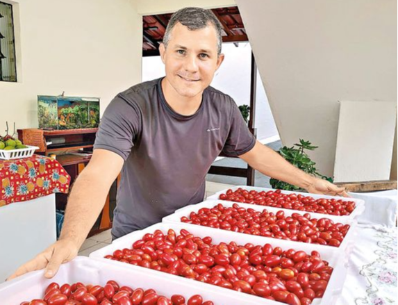 Leonardo Zanetti produz tomatinhos no terraço de casa. Crédito: Leonardo Zanetti/Facebook/Reprodução