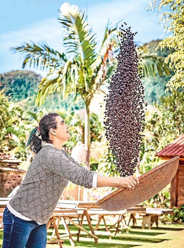 Mercado valoriza protagonismo feminino na produção de café