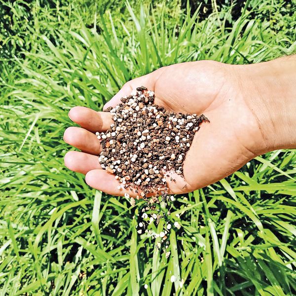 Setor de fertilizantes tem fortalecido a produção para suprir agro local