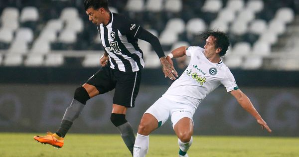 Botafogo sofre com a Lei do Ex e perde para o Goiás pelo Brasileirão ...